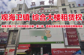 观海卫镇卫南村综合大楼租赁权
